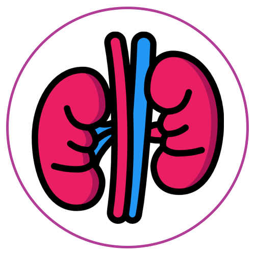 Browse all kidney packages