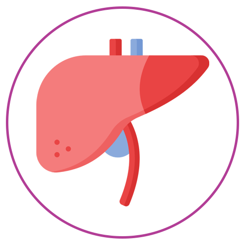 Browse all liver packages